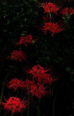 Эта встреча была ошибкой 