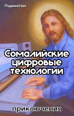 Сомалийские цифровые технологии