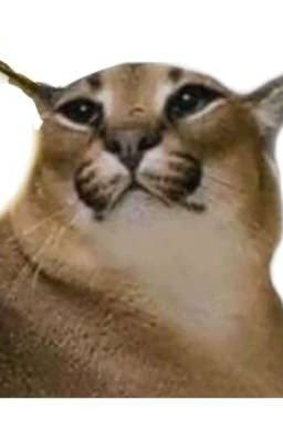 Шлёпа и Тазик