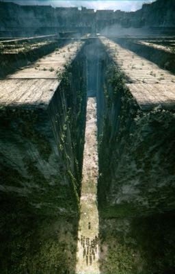 Бегущая из лабиринта 🌸 Т/и и Ньют 🌸