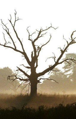 Территория зла...