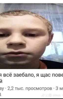 выучить кошачий за 1000-7 лет