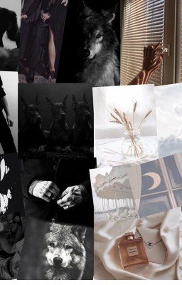 Формула серого