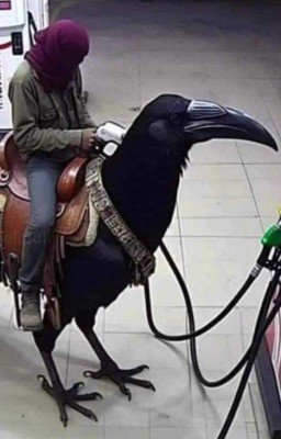 Приключения Додика2010