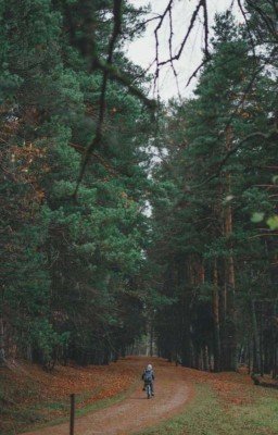 маньяк и счастье в его руках 