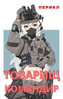 Товарищ командир