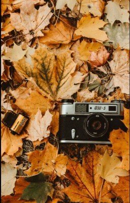 Осколки прошлого