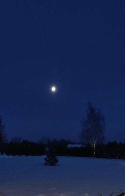 Жизнь Персонажей 