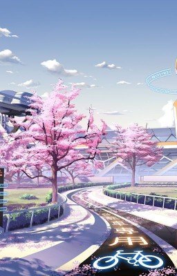 Когда отцветает сакура