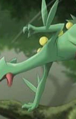 Великий тренер покемонов 