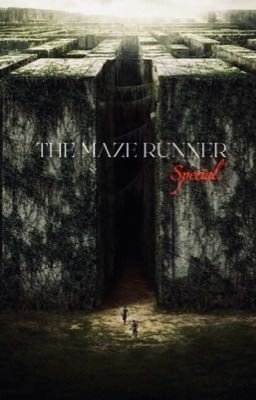 Бегущая в лабиринте.Особенная(ЗАБРОШЕННЫЙ)