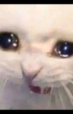 🕸️ПАУК Убийца🕷