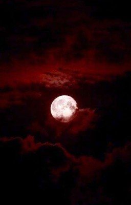 Беззвёздная ночь