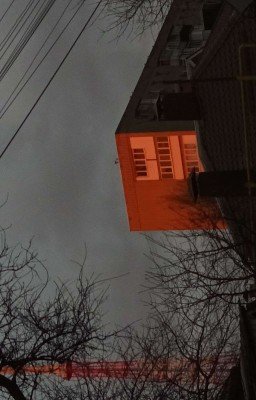 сестра вафлерши