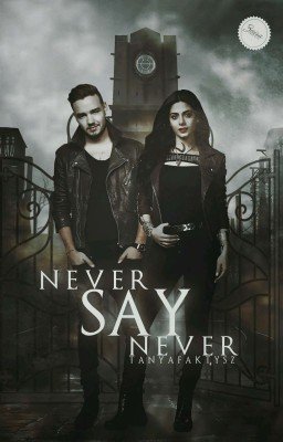 [ЗАМОРОЖЕНО]Never say never || L.P