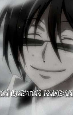 мой цветок камелии