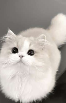 она любима всеми