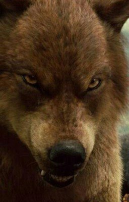 Реннсма Блэк.