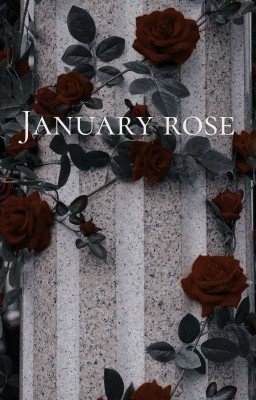 Январская роза