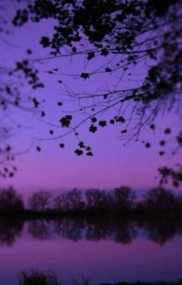 История белой крови