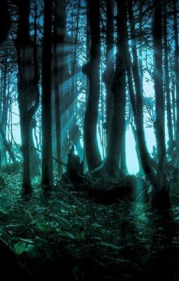 Вампирша с цветными волосами (книга 1)