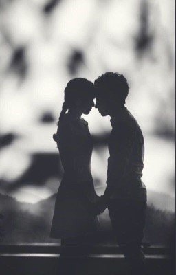 Неожиданная встреча