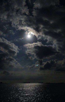 Проводники