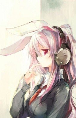 Белый кролик и чёрный волк.