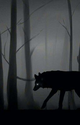 Между светом и тьмой