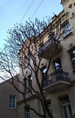 Университет для особенных 