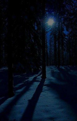 По снежному следу