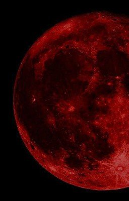 Впервые: человек 