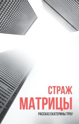 Страж матрицы