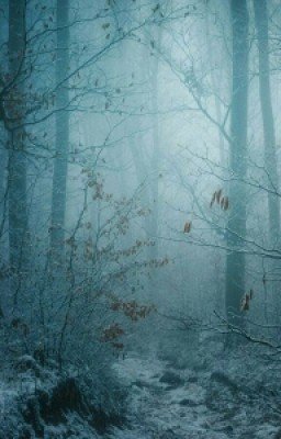 Говард Лавкрафт Филипс ~ Изгой