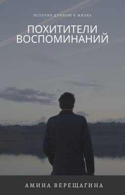 Похитители воспоминаний