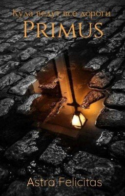 Куда ведут все дороги. Книга 1 Примус
