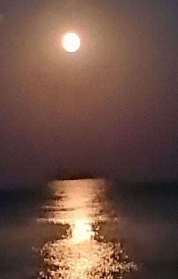 Яс - Гениальный, наверно бессмертный детектив