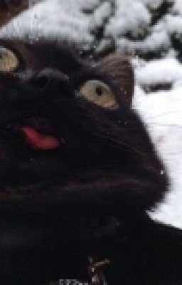 Гёте "Фауст"