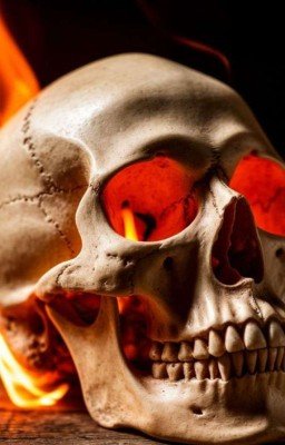 форма черепа