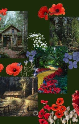 Круглый Стол