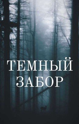 ТЕМНЫЙ ЗАБОР