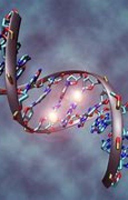 Осколок вселенной. Память.