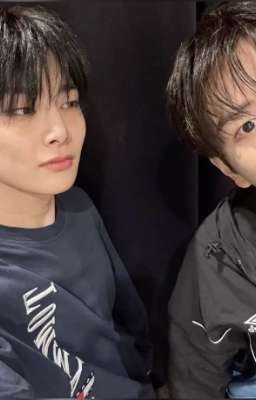 Жизнь автора:)