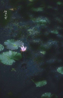 Путь к большой любви