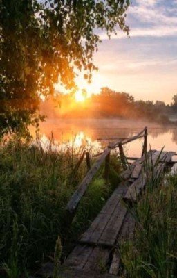 летние приключения