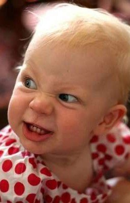 друзья навсегда 