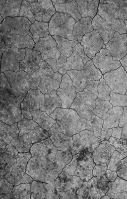 1000 Ссор И 1 Обида