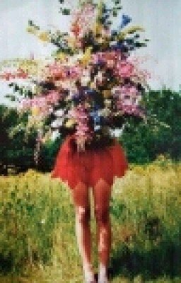 "Настя" Владимир Сорокин