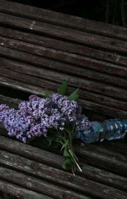 Ебучая математика!