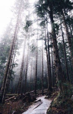 Гончаров.Обломов.